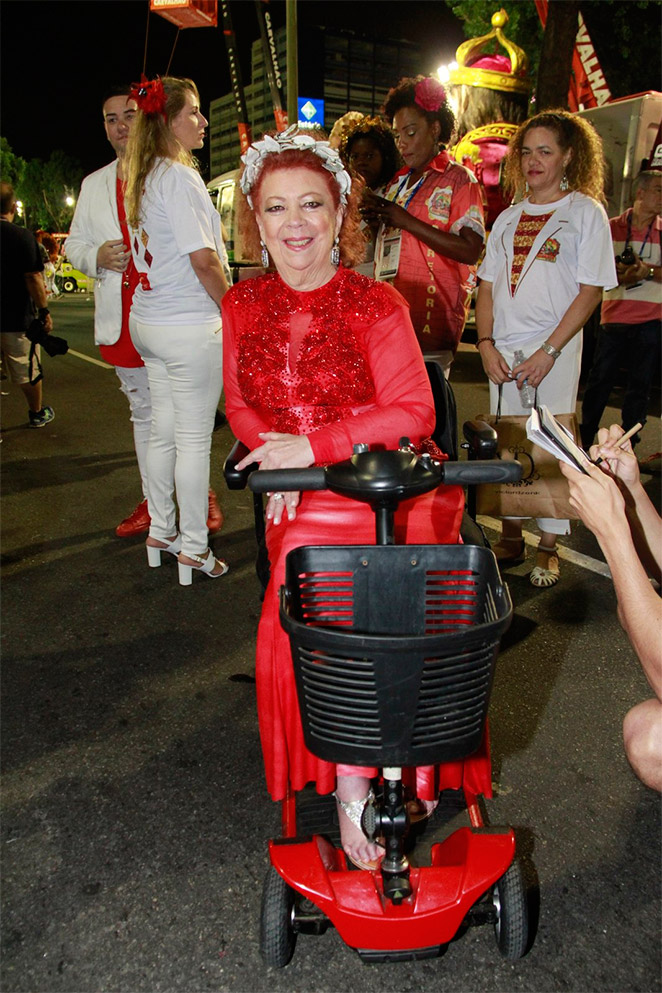 Beth Carvalho é homenageada na Marquês de Sapucaí