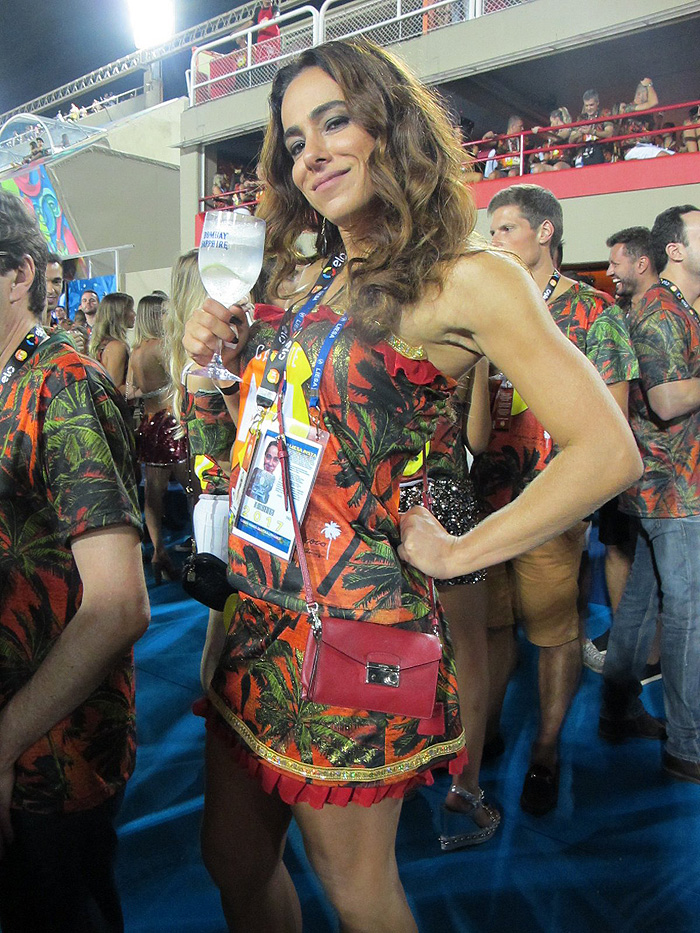 Famosos agitam camarote N1 no Desfile das Campeãs do Rio