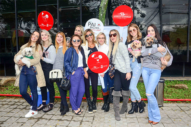 Luisa Mell realiza feira de adoção de cães e gatos