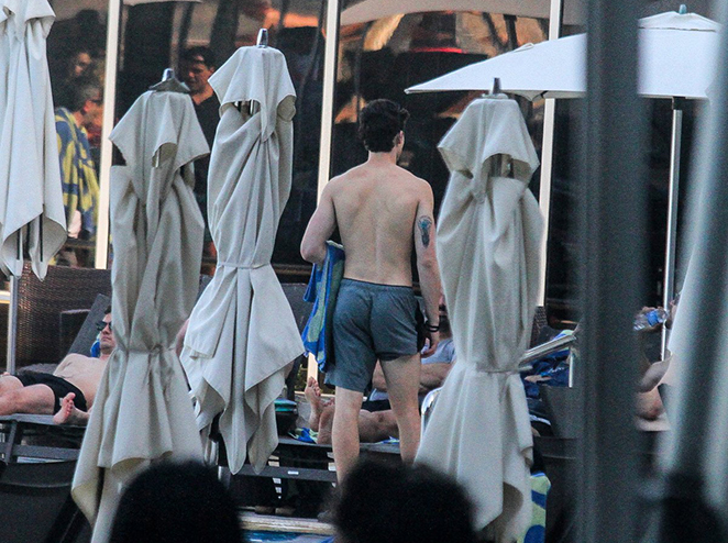 Shawn Mendes curte calor carioca em piscina de hotel