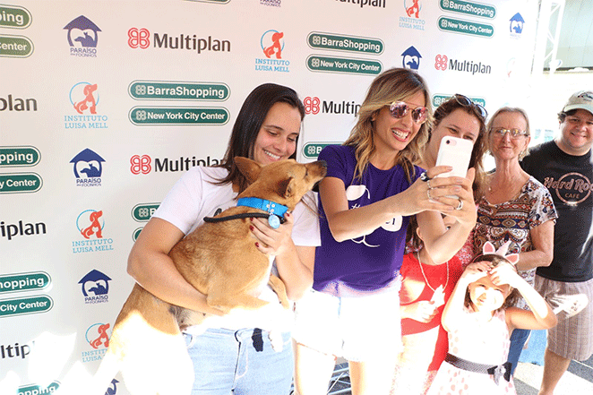 Luisa Mell organiza doação de animais no Rio de Janeiro