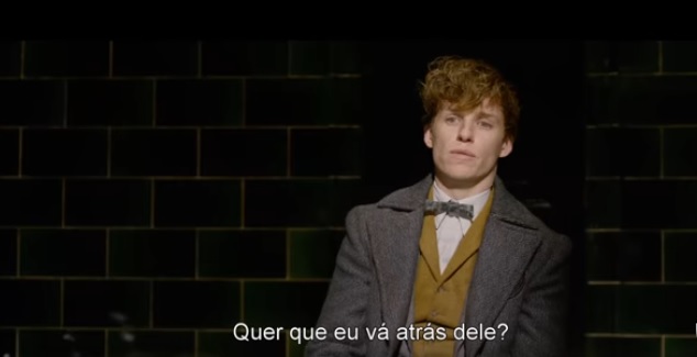 Newt Scamander