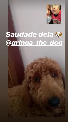 Publicação feita por Angélica em seu Instagram Stories