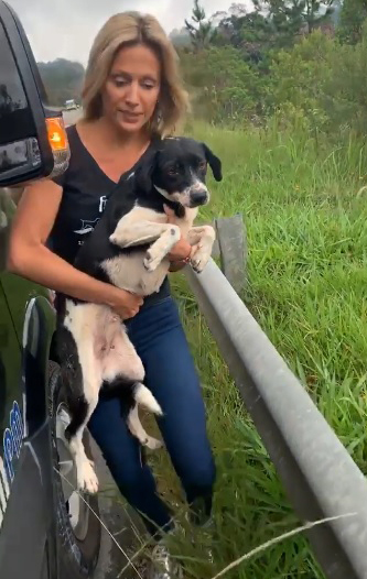 Luísa Mell resgata cachorros ao lado de Anitta