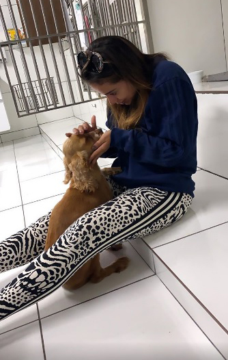 Anitta resgatou cachorros a caminho do Instituto Luísa Mell