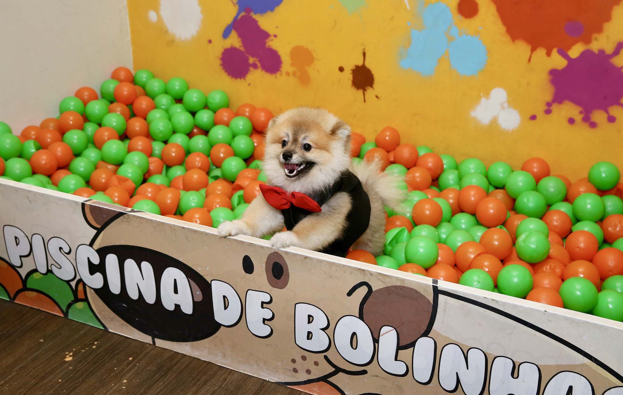 Severino amou a piscina de bolinhas