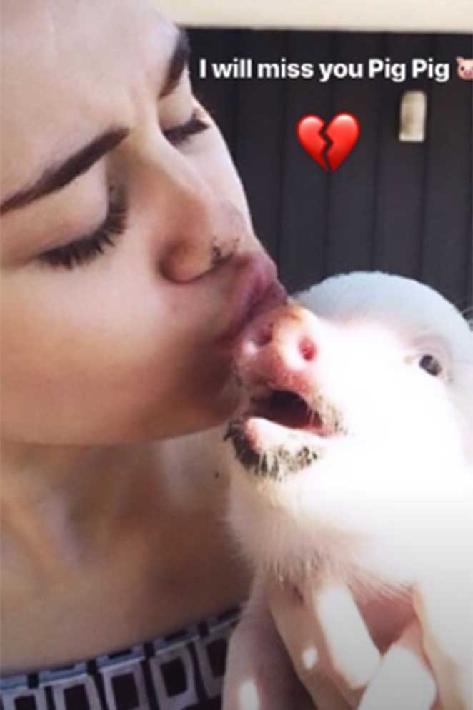 Miley Cyrus lamenta morte de porquinha nas redes sociais