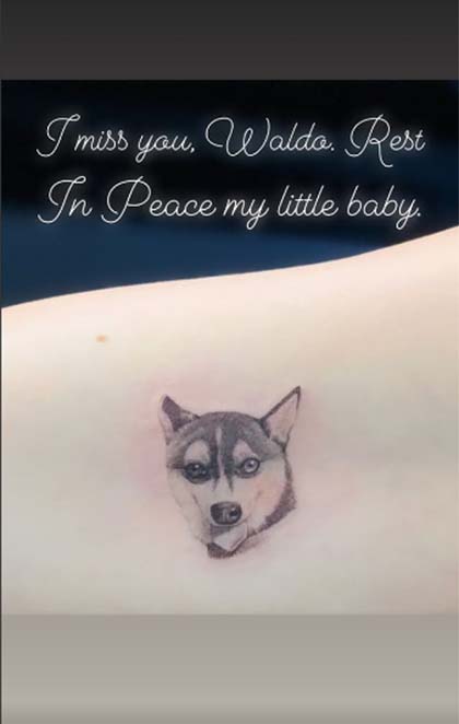  Sophie Turner exibe a tatuagem em homenagem ao pet, Waldo