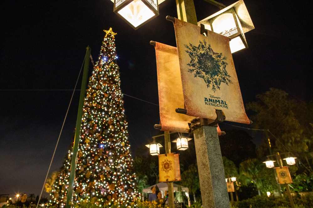 O Walt Disney World encanta em seu Natal especial