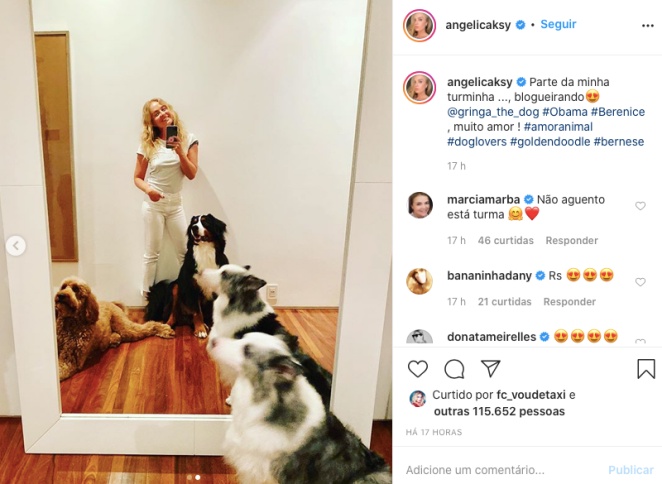 Angélica encanta a web com seus cachorros