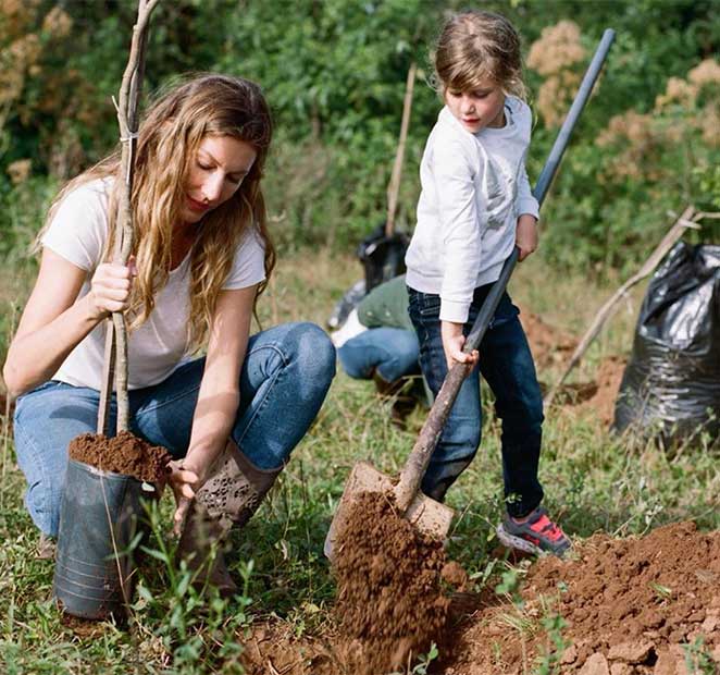 Gisele Bündchen plantou árvores com a família
