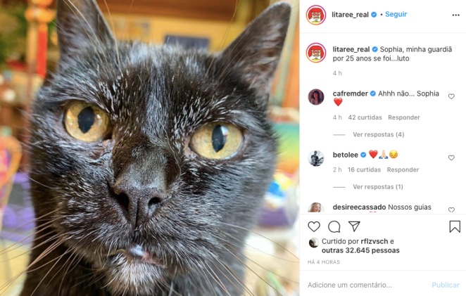 Rita Lee lamenta morte de sua gatinha de estimação