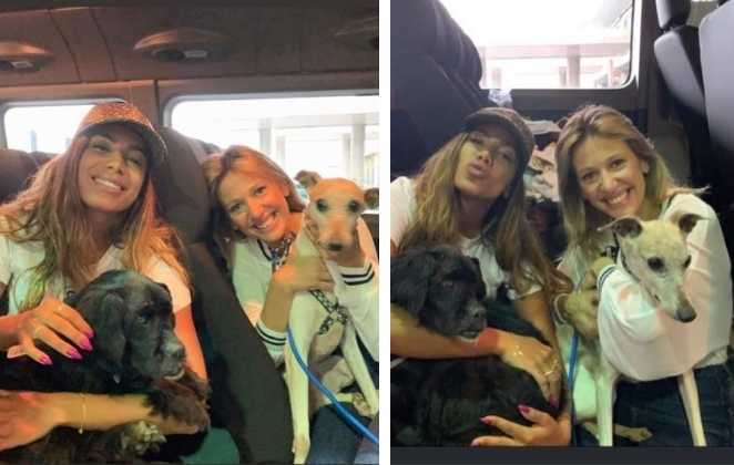 Anitta adota pets de Luisa Mell