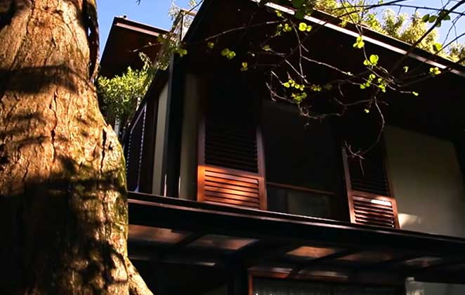 A mansão de Pedro Bial conta com um pau-brasil centenário no quintal
