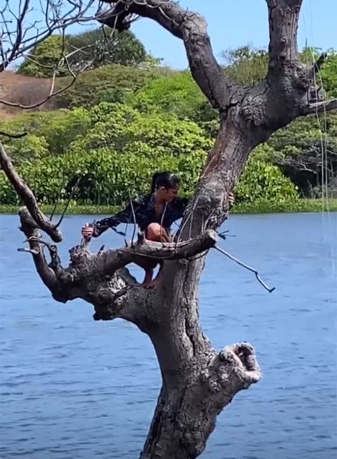 Bruna Marquezine sobe em árvore para fotografar