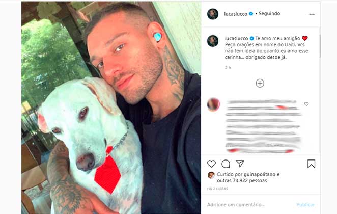 Lucas Lucco publicou foto com cachorro Uaiti e pediu orações a ele no Instagram