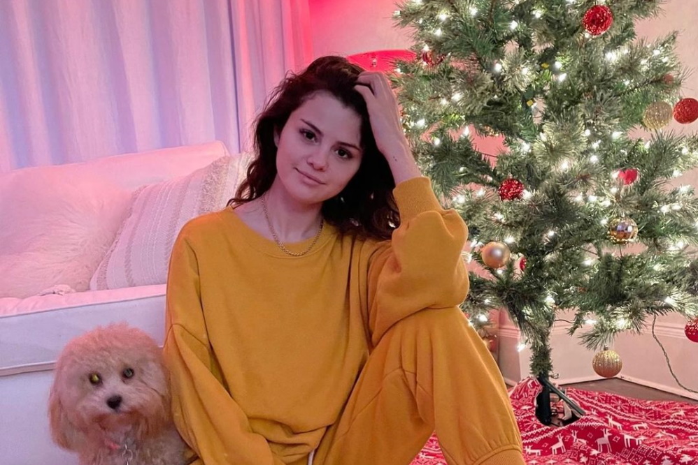 Selena Gomez posou ao lado do pet para mostrar a decoração
