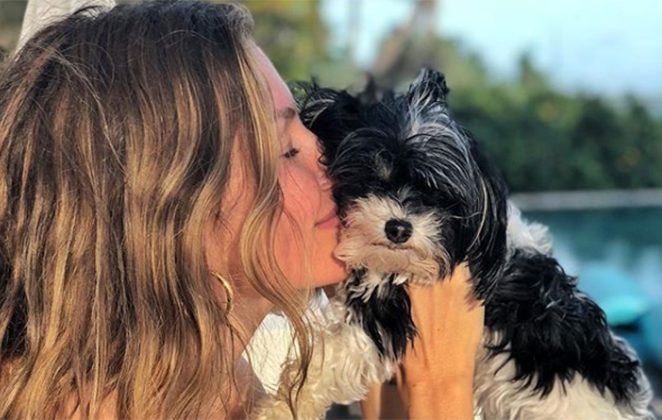 Gisele Bündchen publica foto fofa com sua cachorra