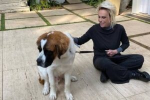 Capuccino, cachorro de Ana Maria Braga