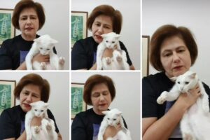 Narjara Turetta pede ajuda para tratamento de gato