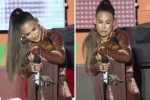 Simone Mendes ganha galinha de presente