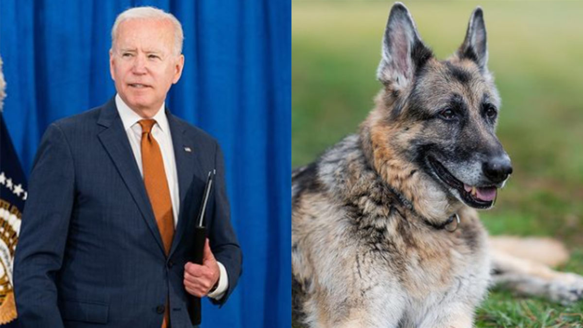 Joe Biden e seu cachorro, Champ
