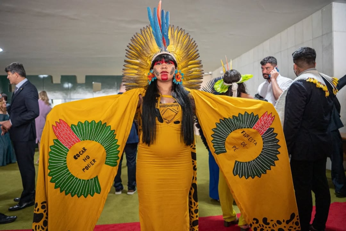 Deputada Célia Xakriabá