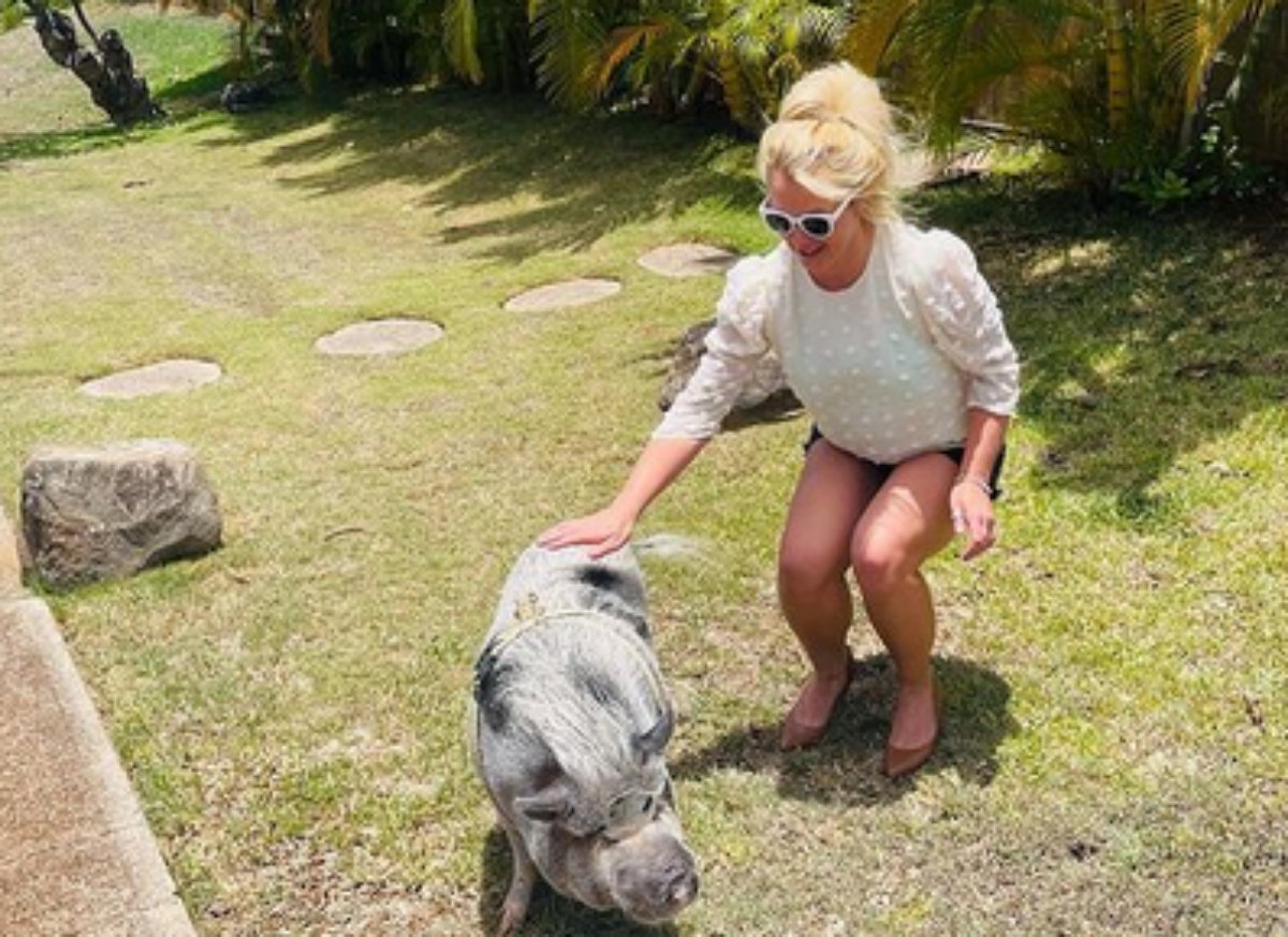 Britney Spears acaricia porqueinho durante terapia com animais