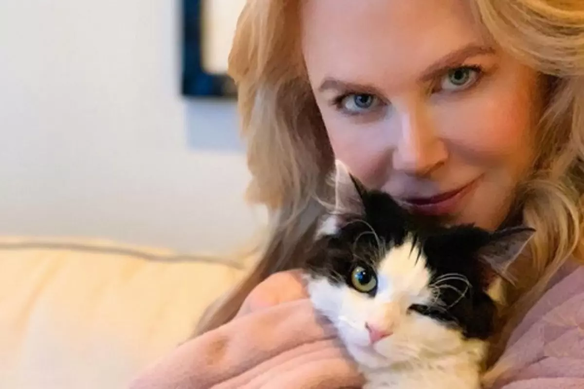 Nicole Kidman em selfie com seu gato