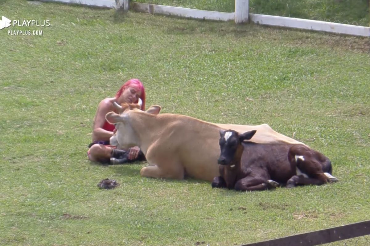 Valentina Francavilla conversa com vacas em 'A Fazenda 13'