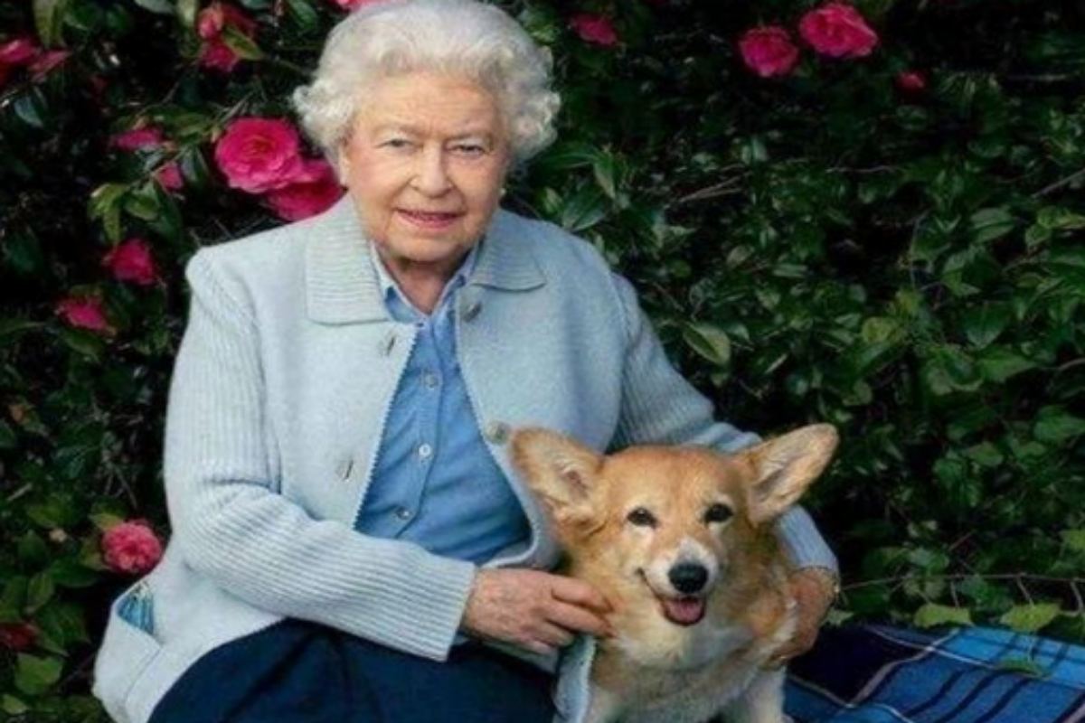 Rainha Elizabeth com um de seus cachorros