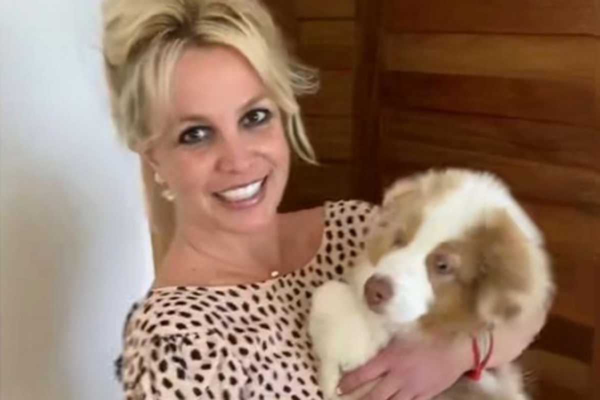 Britney Spears com seu cachorrinho no colo