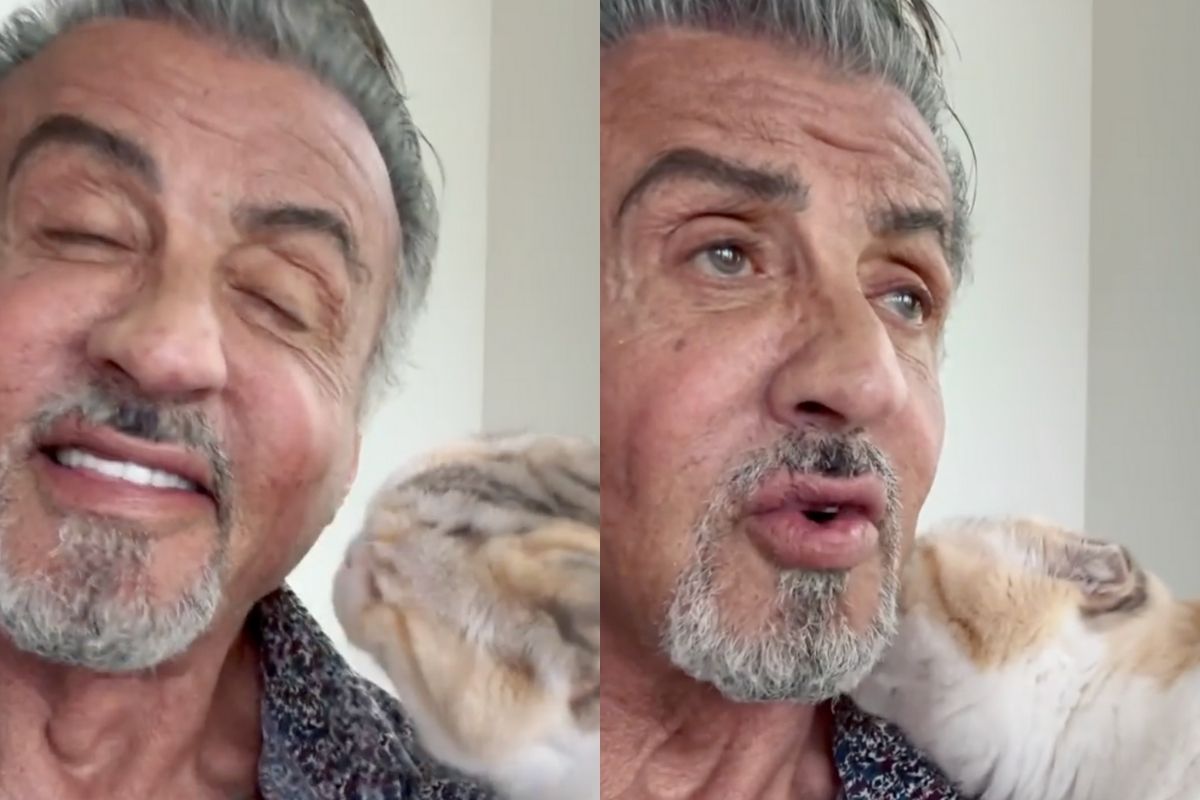 Sylvester Stallone com sua gata