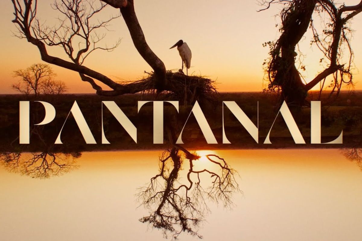 Pôster da novela "Pantanal", da TV Globo