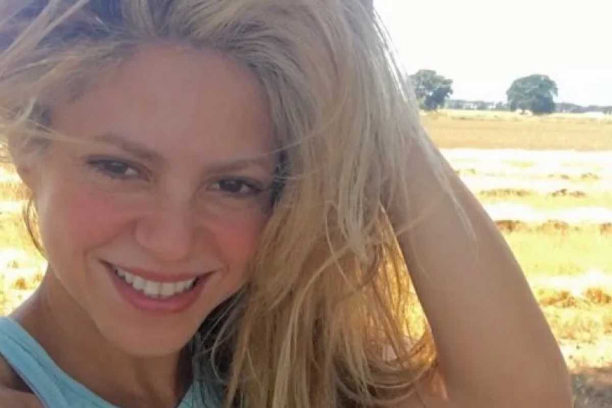 Shakira sorrindo no campo