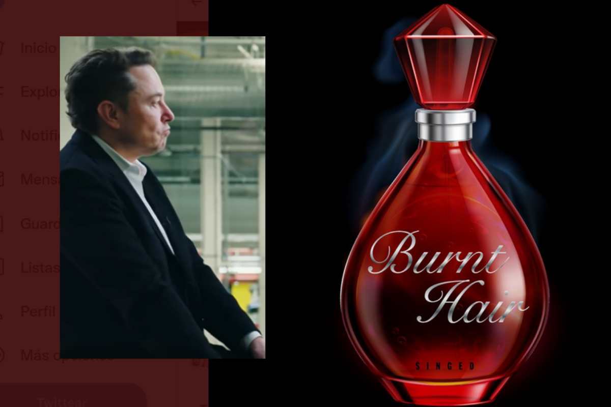 Elon Musk e seu perfume 'Cabelo Queimado'