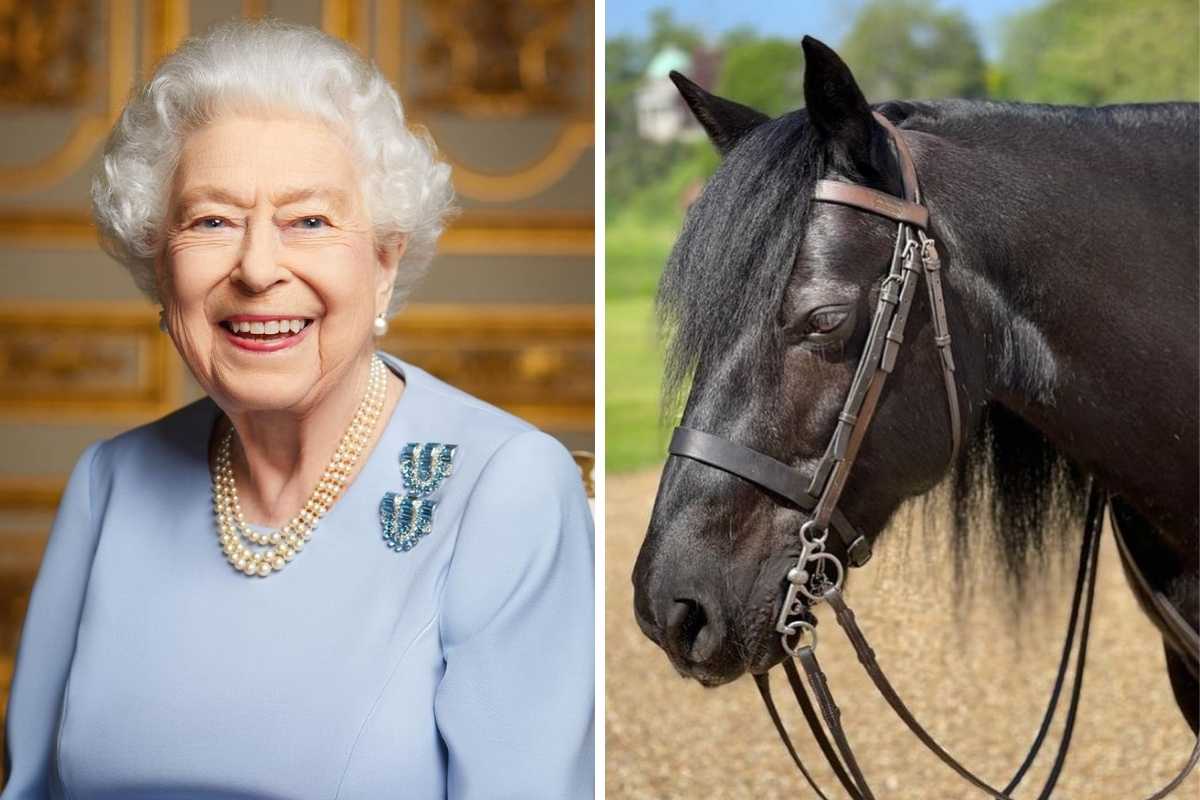 fotomontagem de retrato de rainha elizabeth ii e cavalo da realeza