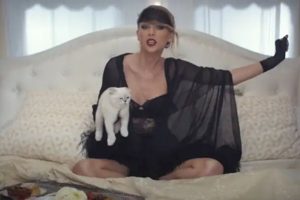 Taylor Swift sentada na cama, de camisola preta, segurando a gata branca