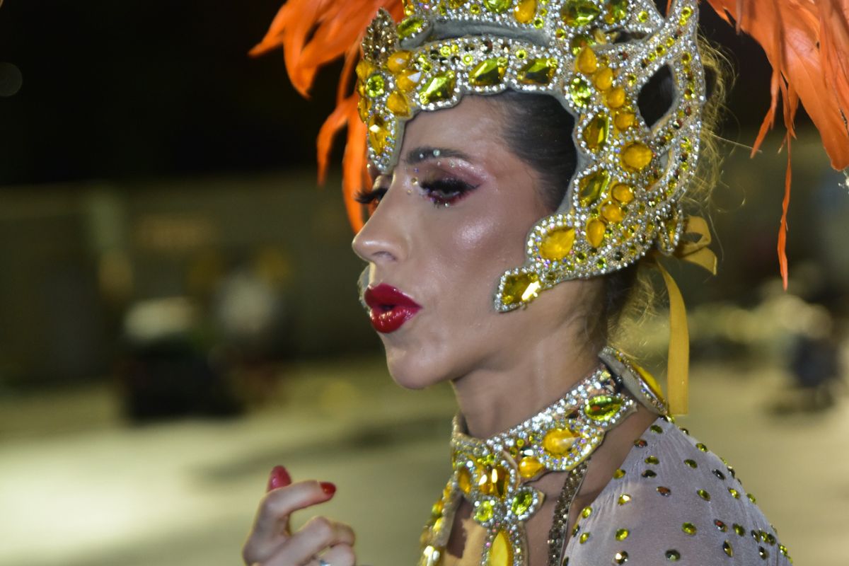 Ana paula Minerato apreensiva, por menstruar durante desfile da Gaviões, em São Paulo