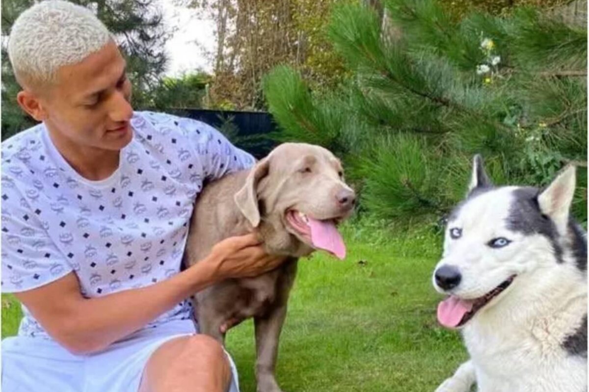 Richarlison e seus dois cachorros de estimação