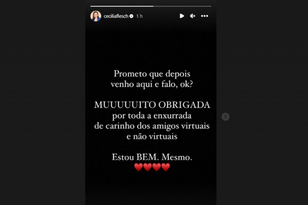 Stories de Cecília Flesch falando de demissão no Instagram