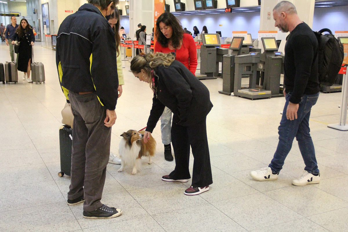 Susana Vieira brinca com cachorrinho em aeroporto