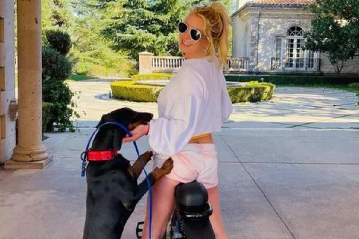 Britney Spears e um de seus cachorros
