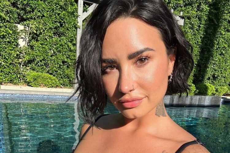 Selfie Demi Lovato