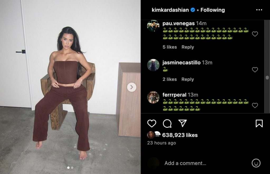 Comentários de cobras nas redes sociais de Kim Kardashian