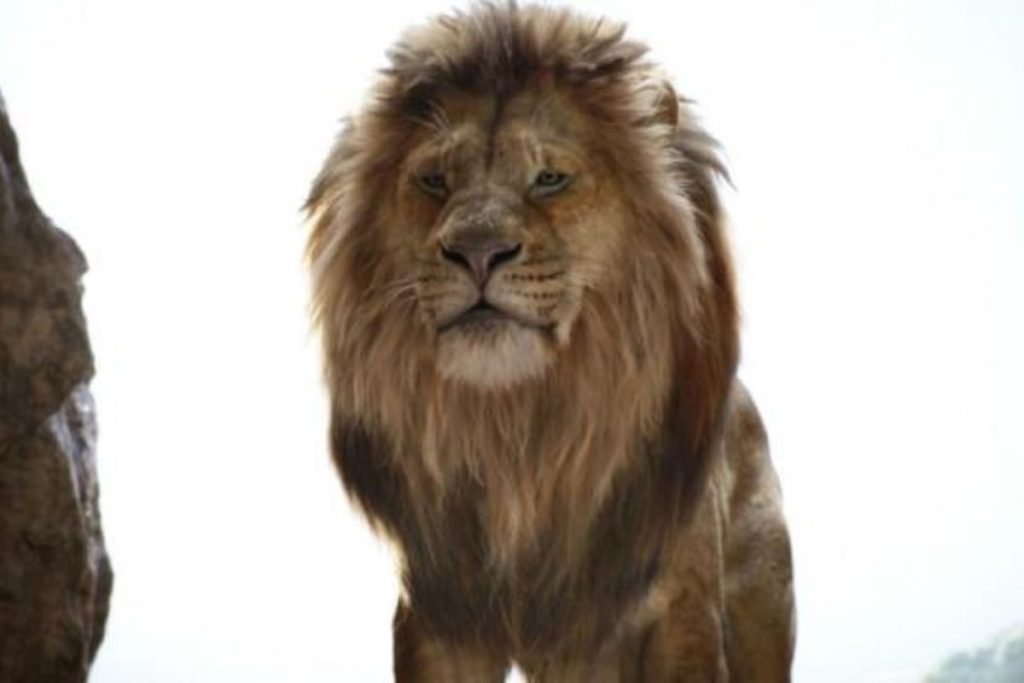Lion King: Mufasa (Disney)