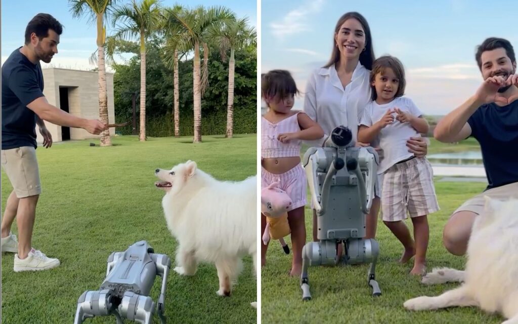 Conheça o cachorro robô de Alo novo integrante da família do artista