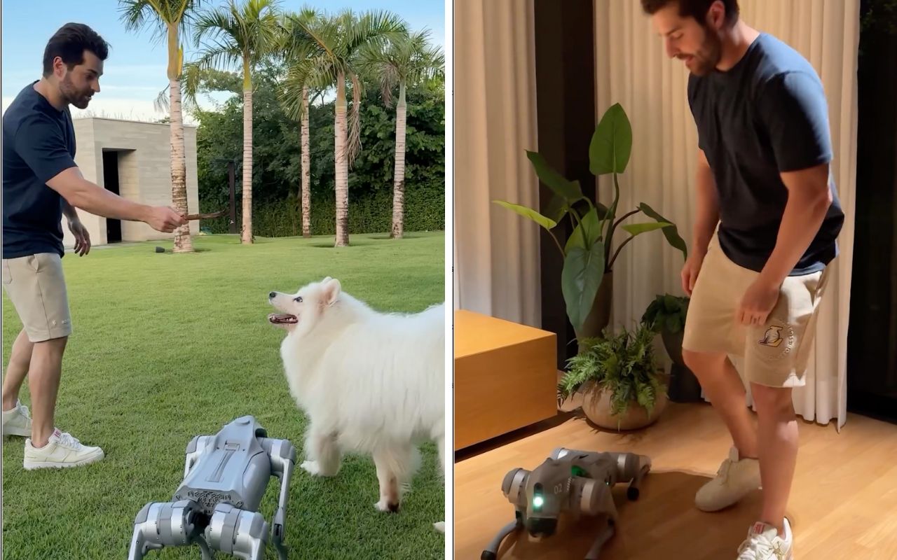 Conheça o cachorro robô de Alo novo integrante da família do artista