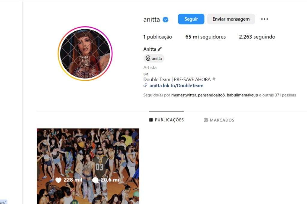 Perfil de Anitta no Instagram 