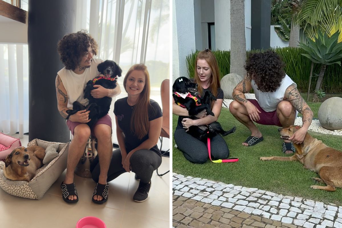 Whindersson Nunes adota novas pets: Miranda e Goiaba